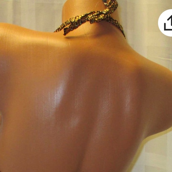 Bikini Posing/Competiton Suit - Picture 3 of 11